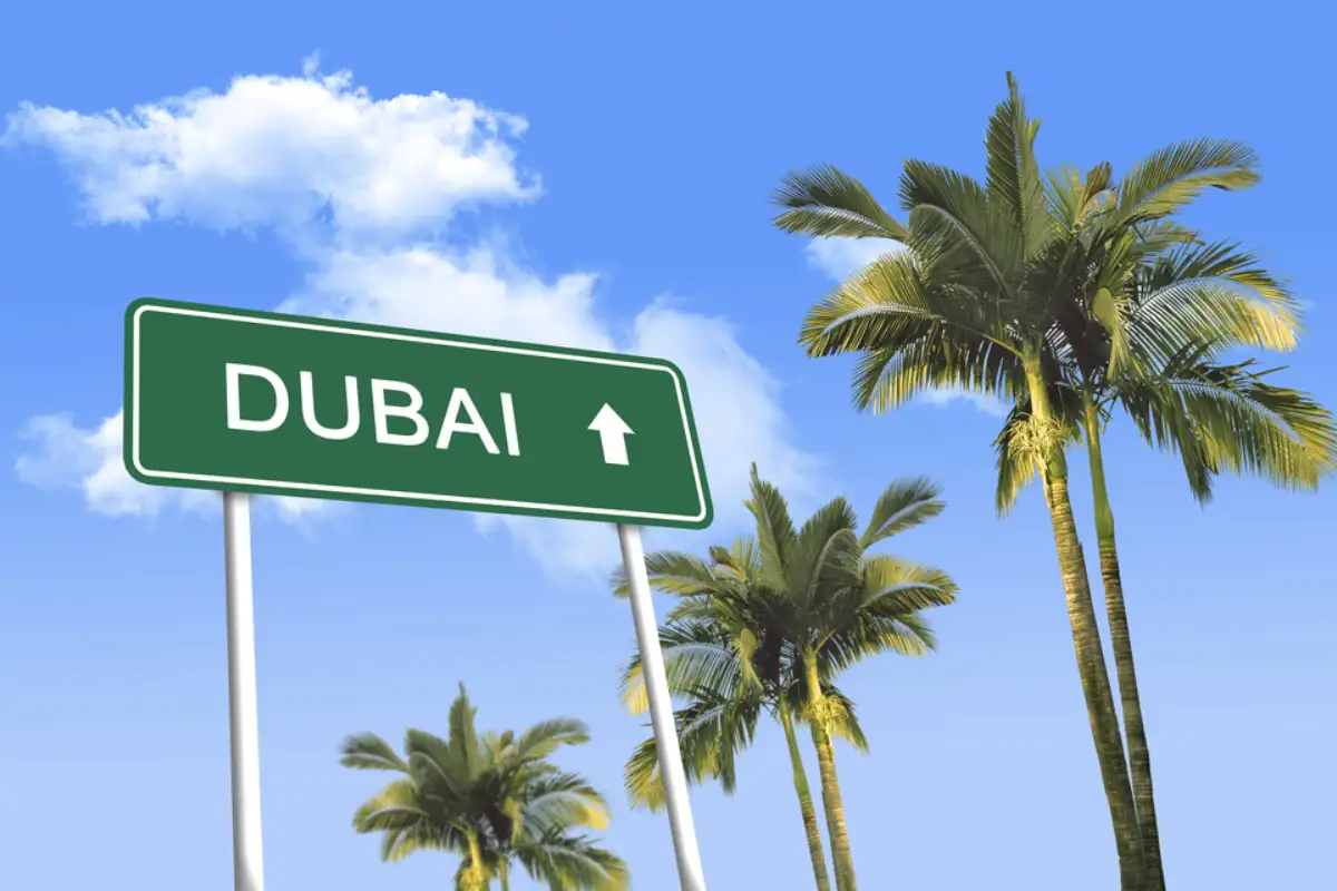 Dual Licensing for Free Zone Companies in Dubai