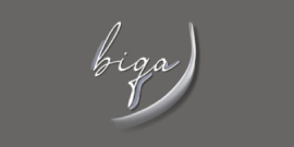 MIS Clients - Biga