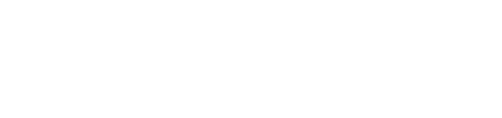 MIS - Mouannes INTL Specialized Consultants